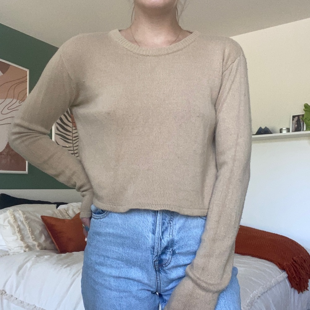 Brown sweater brandy Melville